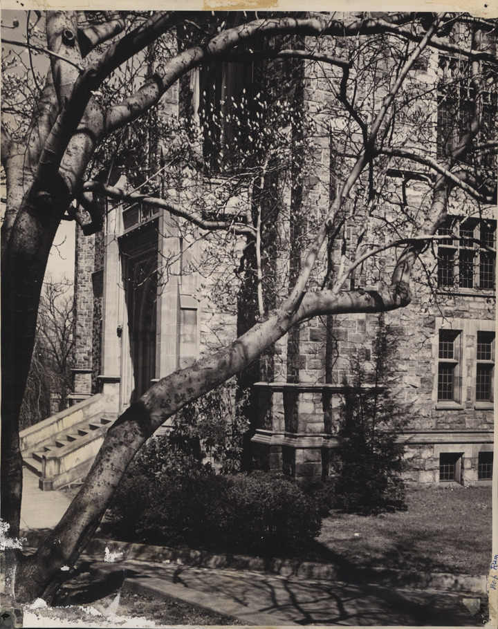 Building / Linderman Library | Lehigh Preserve